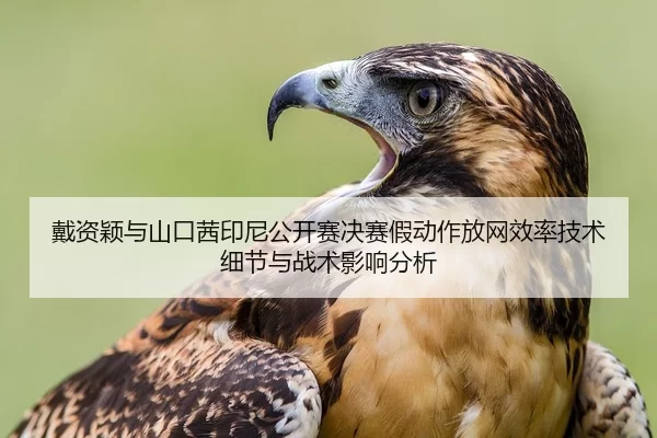 dai-zi-ying-yu-shan-kou-qian-yin-ni-gong-kai-sai-jue-sai-jia-dong-zuo-fang-wang-xiao-lv-ji-shu-xi-jie-yu-zhan-shu-ying-2-446.jpg
