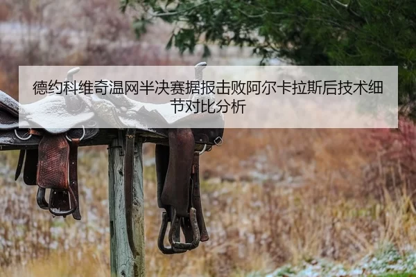 德约科维奇温网半决赛据报击败阿尔卡拉斯后技术细节对比分析